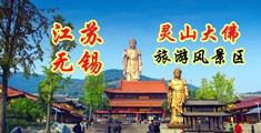 操逼小说粉色视频江苏无锡灵山大佛旅游风景区